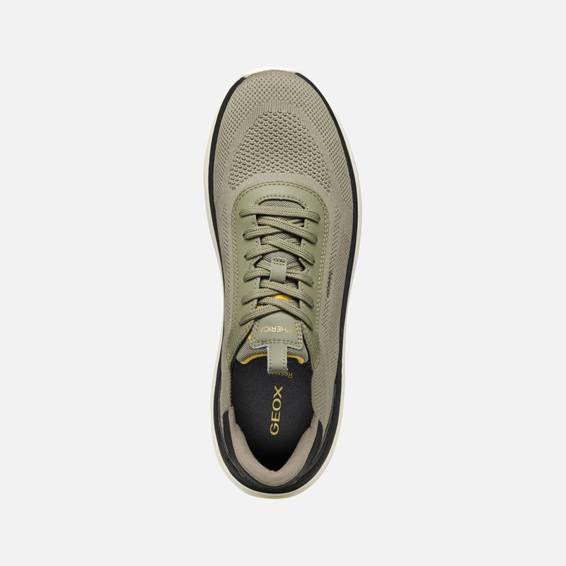 Sneaker - GEOX